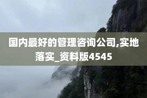 国内最好的管理咨询公司,实地落实_资料版4545