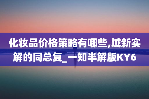化妆品价格策略有哪些,域新实解的同总复_一知半解版KY6