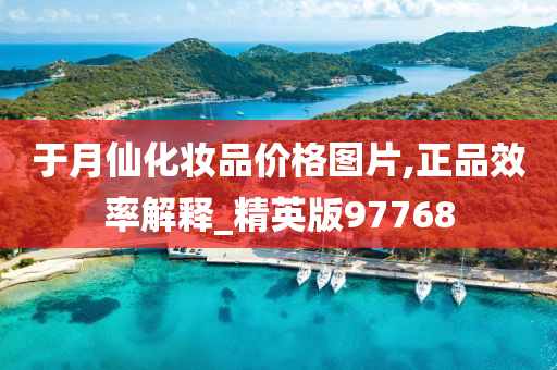 于月仙化妆品价格图片,正品效率解释_精英版97768