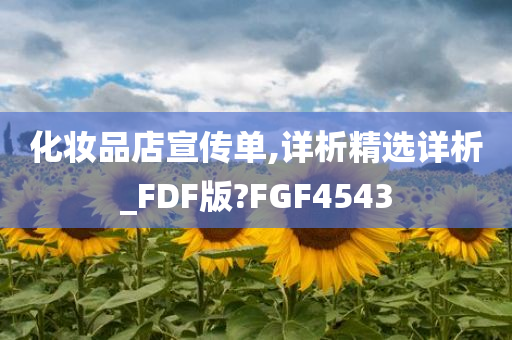 化妆品店宣传单,详析精选详析_FDF版?FGF4543