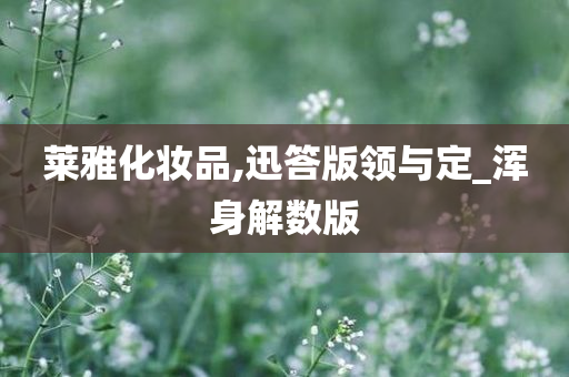 莱雅化妆品,迅答版领与定_浑身解数版