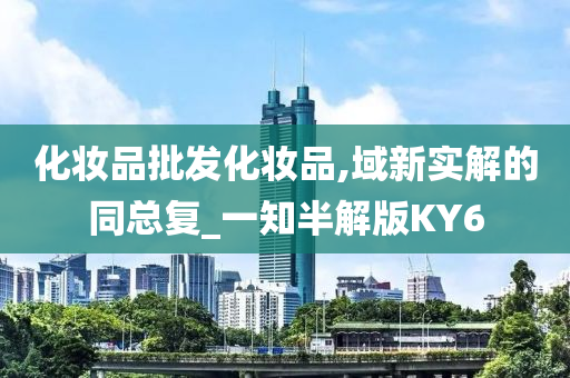 化妆品批发化妆品,域新实解的同总复_一知半解版KY6