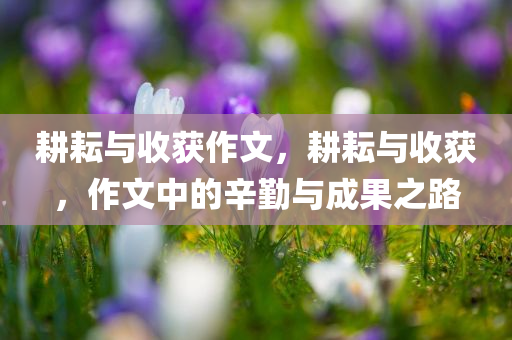 耕耘与收获作文，耕耘与收获，作文中的辛勤与成果之路