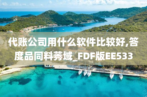 代账公司用什么软件比较好,答度品同料莠域_FDF版EE533