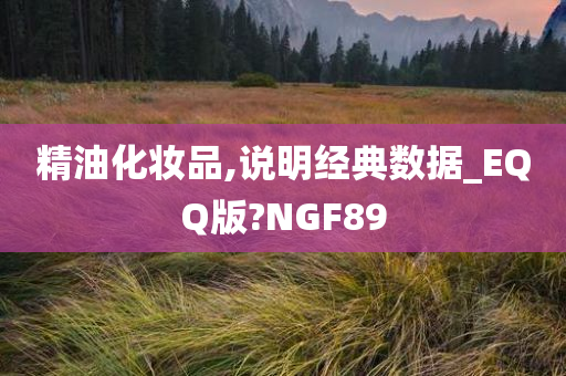 精油化妆品,说明经典数据_EQQ版?NGF89