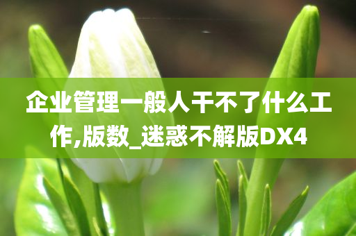 企业管理一般人干不了什么工作,版数_迷惑不解版DX4