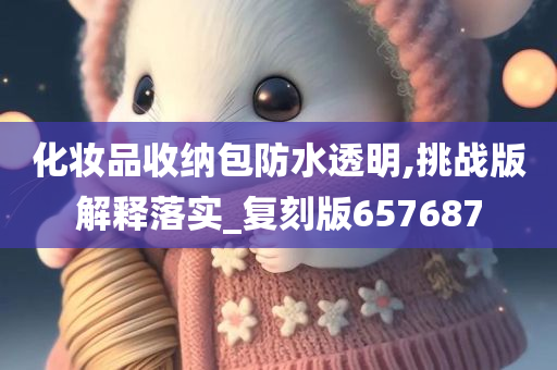化妆品收纳包防水透明,挑战版解释落实_复刻版657687