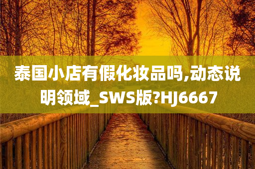 泰国小店有假化妆品吗,动态说明领域_SWS版?HJ6667