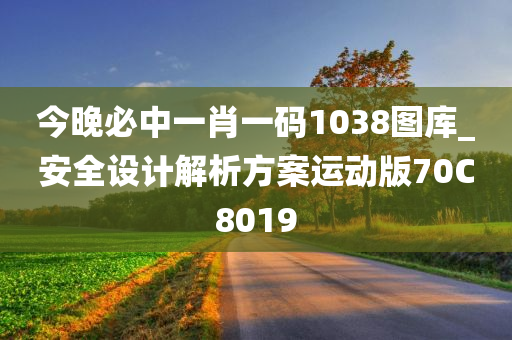 今晚必中一肖一码1038图库_安全设计解析方案运动版70C8019