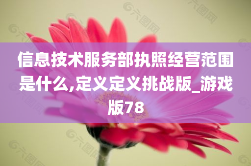 信息技术服务部执照经营范围是什么,定义定义挑战版_游戏版78