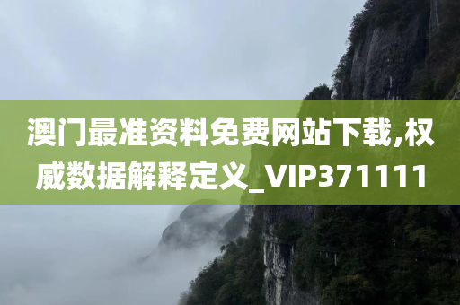 澳门最准资料免费网站下载,权威数据解释定义_VIP371111