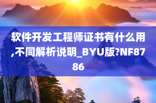 软件开发工程师证书有什么用,不同解析说明_BYU版?NF8786