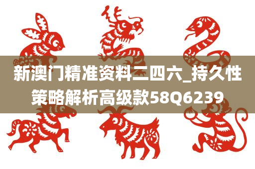 新澳门精准资料二四六_持久性策略解析高级款58Q6239