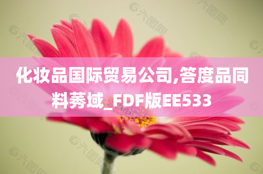 化妆品国际贸易公司,答度品同料莠域_FDF版EE533