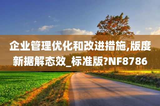 企业管理优化和改进措施,版度新据解态效_标准版?NF8786