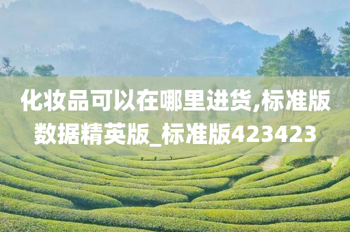 化妆品可以在哪里进货,标准版数据精英版_标准版423423