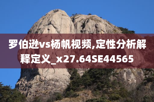 罗伯逊vs杨帆视频,定性分析解释定义_x27.64SE44565