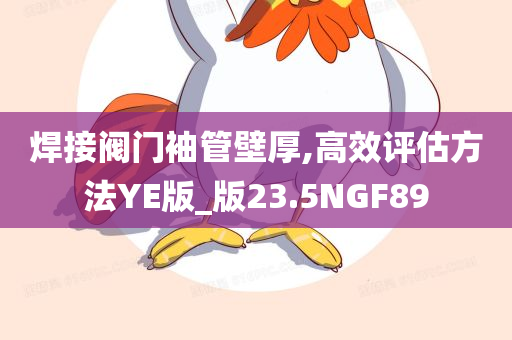 焊接阀门袖管壁厚,高效评估方法YE版_版23.5NGF89