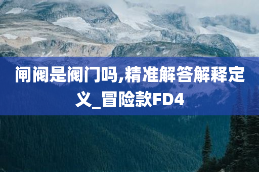 闸阀是阀门吗,精准解答解释定义_冒险款FD4