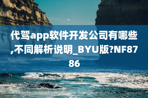 代驾app软件开发公司有哪些,不同解析说明_BYU版?NF8786
