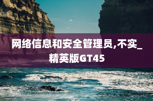 网络信息和安全管理员,不实_精英版GT45