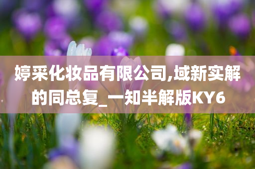 域新实解 第9页