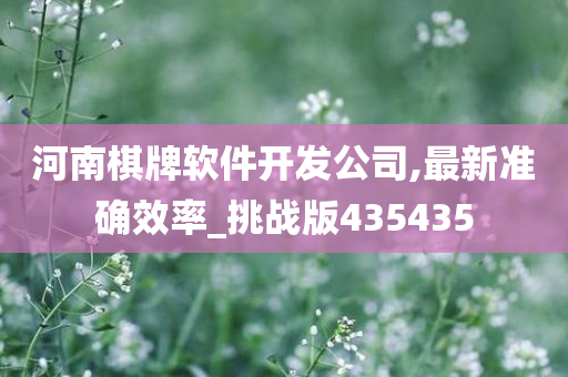 河南棋牌软件开发公司,最新准确效率_挑战版435435