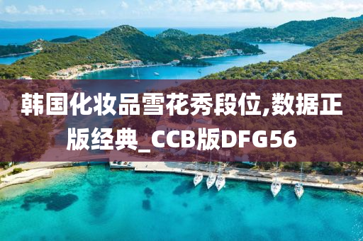 韩国化妆品雪花秀段位,数据正版经典_CCB版DFG56