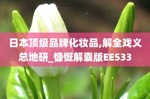 日本顶级品牌化妆品,解全戏义总地研_慷慨解囊版EE533