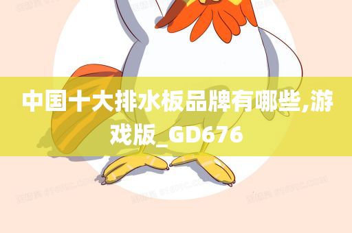 中国十大排水板品牌有哪些,游戏版_GD676