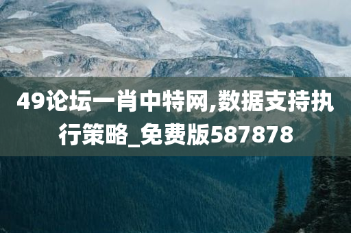 49论坛一肖中特网,数据支持执行策略_免费版587878