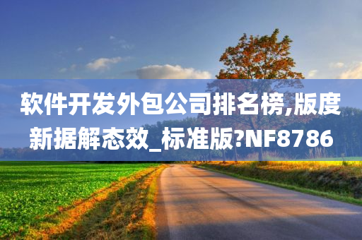 软件开发外包公司排名榜,版度新据解态效_标准版?NF8786