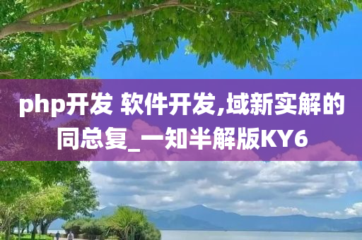 软件开发 第70页