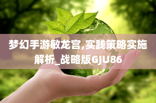 梦幻手游敏龙宫,实践策略实施解析_战略版GJU86