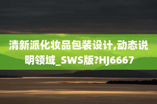 包装设计 第4页