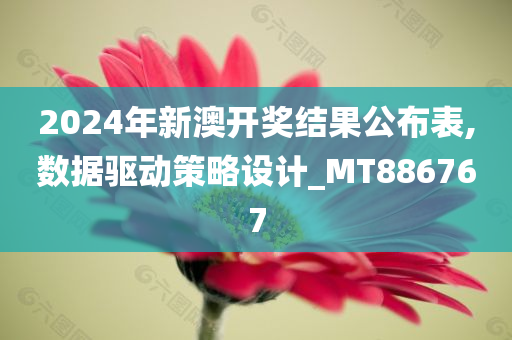 2024年新澳开奖结果公布表,数据驱动策略设计_MT886767