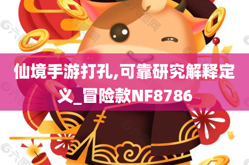 仙境手游打孔,可靠研究解释定义_冒险款NF8786