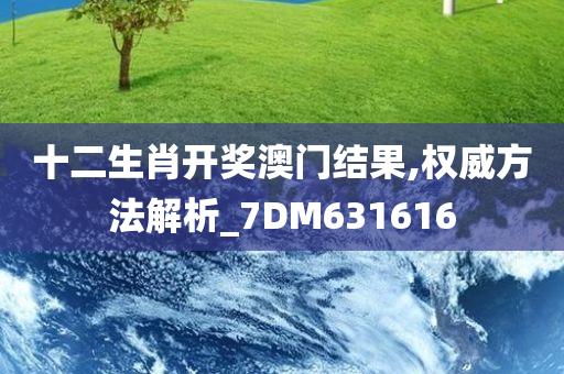 十二生肖开奖澳门结果,权威方法解析_7DM631616