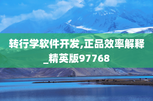 转行学软件开发,正品效率解释_精英版97768