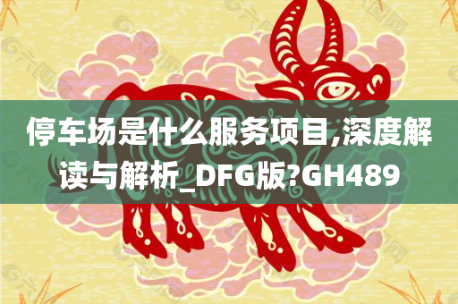 停车场是什么服务项目,深度解读与解析_DFG版?GH489