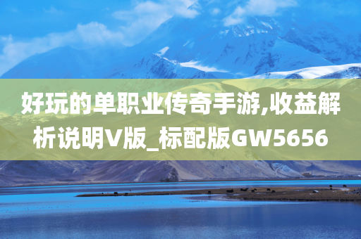 好玩的单职业传奇手游,收益解析说明V版_标配版GW5656