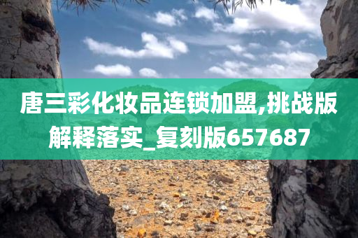 唐三彩化妆品连锁加盟,挑战版解释落实_复刻版657687