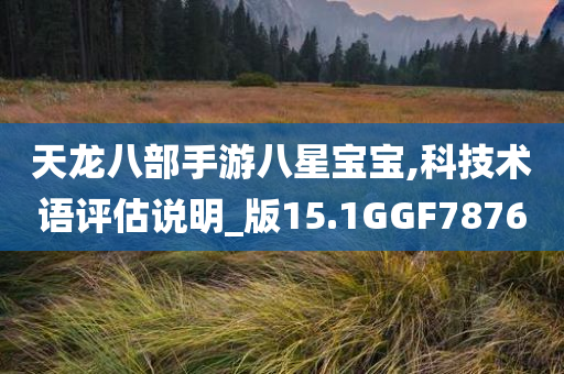 天龙八部手游八星宝宝,科技术语评估说明_版15.1GGF7876