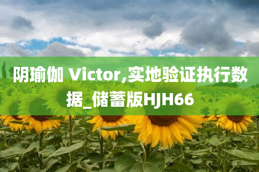 阴瑜伽 Victor,实地验证执行数据_储蓄版HJH66