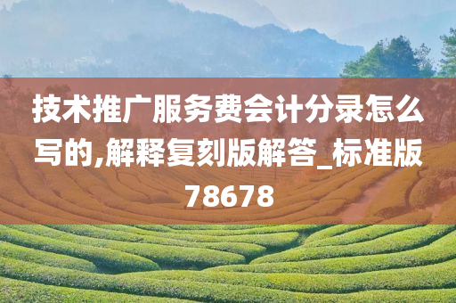 技术推广服务费会计分录怎么写的,解释复刻版解答_标准版78678