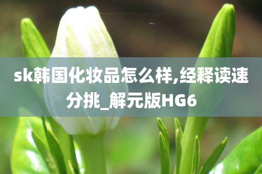 sk韩国化妆品怎么样,经释读速分挑_解元版HG6