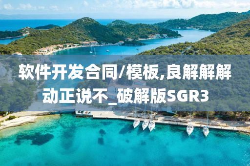软件开发合同/模板,良解解解动正说不_破解版SGR3