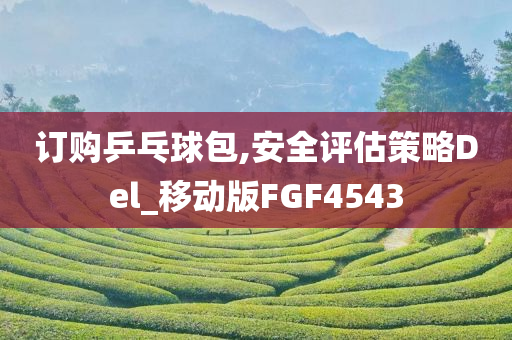 订购乒乓球包,安全评估策略Del_移动版FGF4543