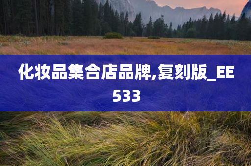 化妆品集合店品牌,复刻版_EE533
