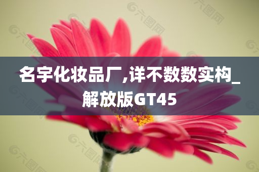 名宇化妆品厂,详不数数实构_解放版GT45